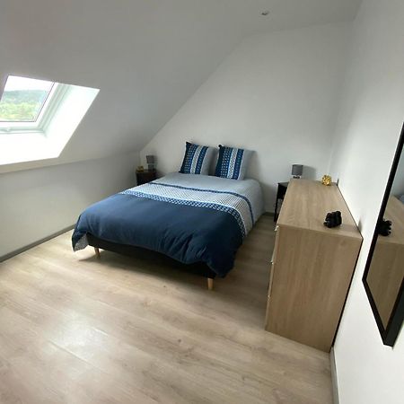 Appartement Neuf Vosges Fraize エクステリア 写真