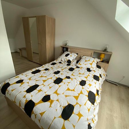 Appartement Neuf Vosges Fraize エクステリア 写真