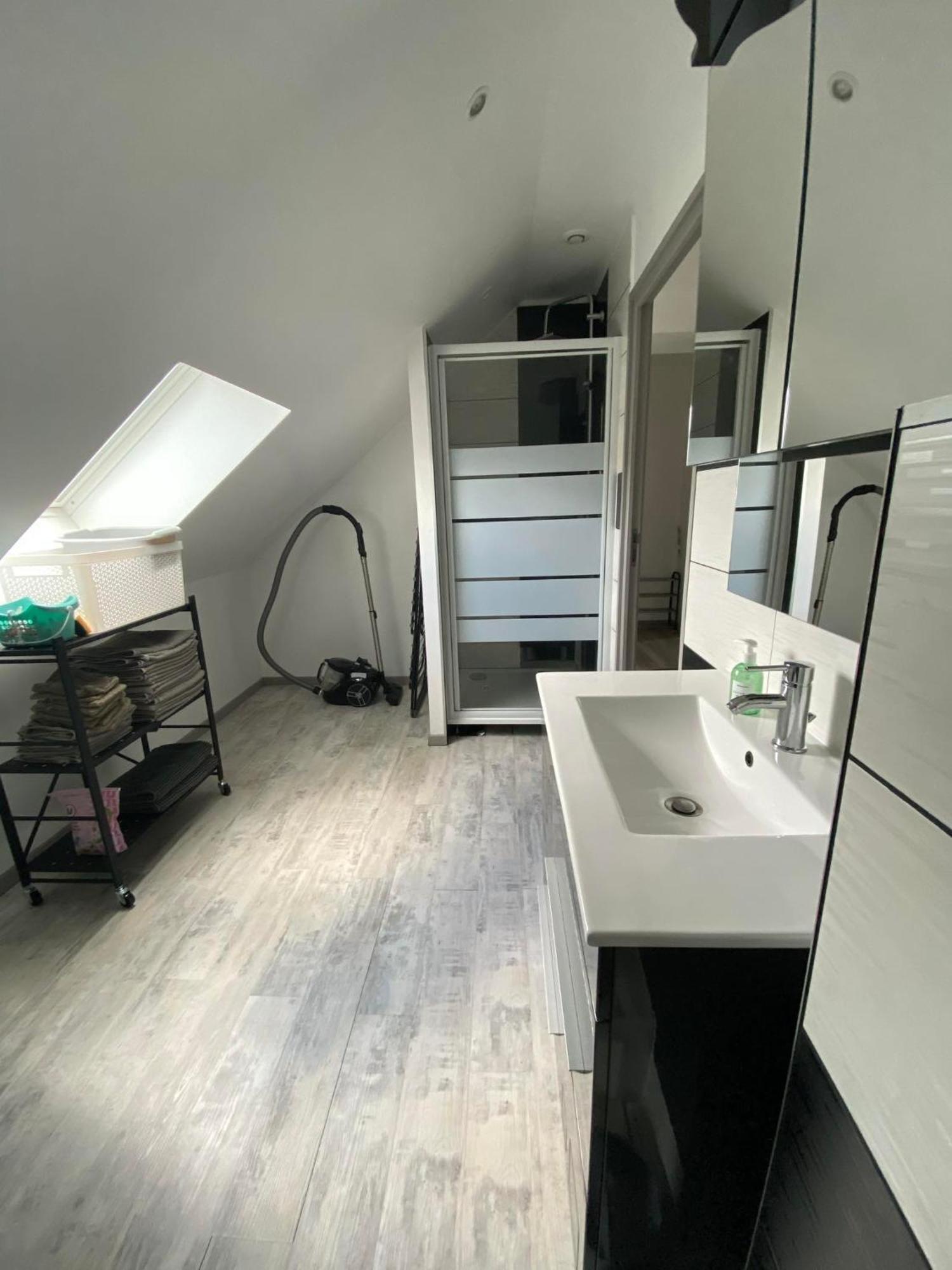 Appartement Neuf Vosges Fraize エクステリア 写真